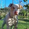 www.tiktok.commarco76