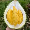 Sầu riêng Musangking