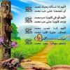 wdelsayed1418
