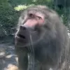 bucutruyenthong