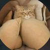 aki_kaneko1