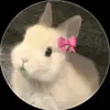 dybn7ah8xxj
