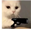 dyzwcyl6lgaz