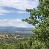 rojveenn