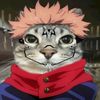 meowkuna0
