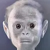 sfhcrugjvb