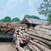 user.bungsu.jaya