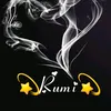r009umi