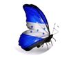 .mariposa75