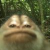 curious_monk53