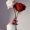 sahab_231