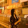phgthao25