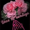 jose_32575