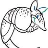 kcbrassarmadillo