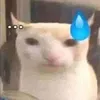 khanhhtoan203
