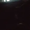 emillysousa.12
