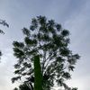 angga_riskiy12