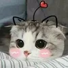 user07auop2gwq