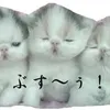 hashikuri