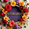 ntokozomofokeng79