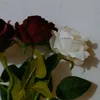 __hi4_