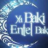 emrebey.2834