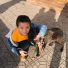 omar.bfr