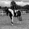 sophie_showjumping__