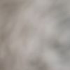 _wilo17888