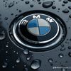 the_bmw_guy2002