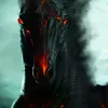 dsouzawill1