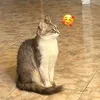 hindachabr1