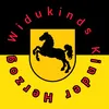 widukind71