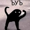 dyedm0elgd6o
