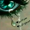 fawzi7011