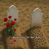 usdrt7