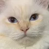 mommymichiandaster