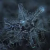 crystal_clear24