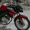 calon_pangulu