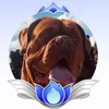 karl.frixon56