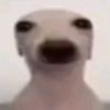 el_z4_ff