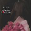 roro_a7med00