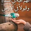 tahia.taiba