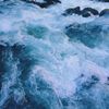 oceansanity