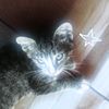 your1nonly_adi