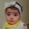 noha_hm55