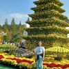 thu.ngyuen6