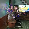 tranphuong1973tb