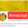 bonsaihgd_0918755712