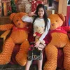 iqnizbudb